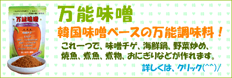 ハンおばさんシリーズ万能味噌動き